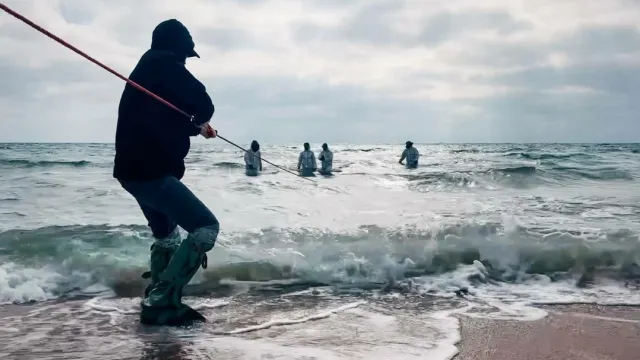 Волонтеры собирают мазут на берегу и в море. Фото: из архива Никиты Захарова