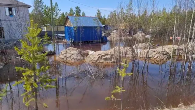 Затопленные дачи в Тарко-Сале. Фото: скриншот видео «Ямал-Медиа»