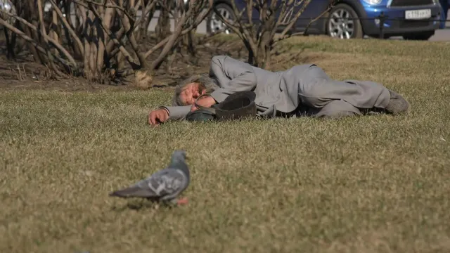 Фото: Евгений Кузнецов / «Ямал-Медиа»