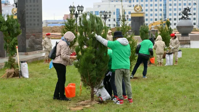 Вечнозеленые деревья украсят парк Победы в Салехарде. Фото: предоставлено пресс-службой губернатора ЯНАО
