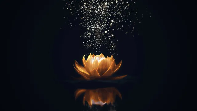 Фото: Marc Andreu / shutterstock.com / Fotodom