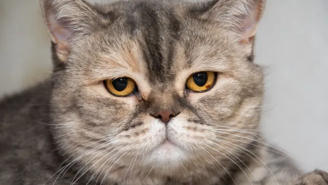 Фото: Юрий Здебский / «Ямал-Медиа»