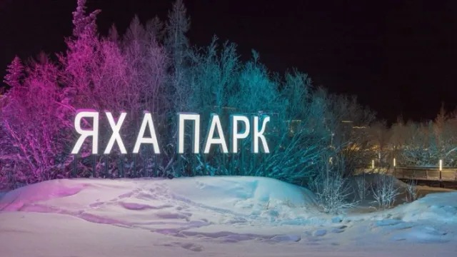 Фото: Фёдор Воронов / «Ямал-Медиа»