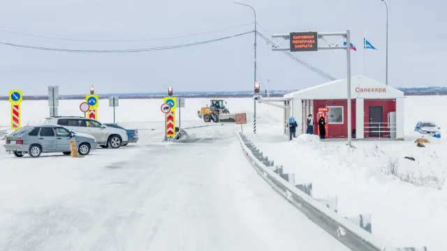 Фото: Фёдор Воронов / Ямал-Медиа