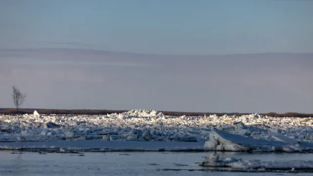 Фото: Сергей Зубков / «Ямал-Медиа»