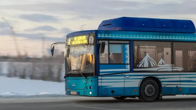 Фото: Фёдор Воронов / «Ямал-Медиа»