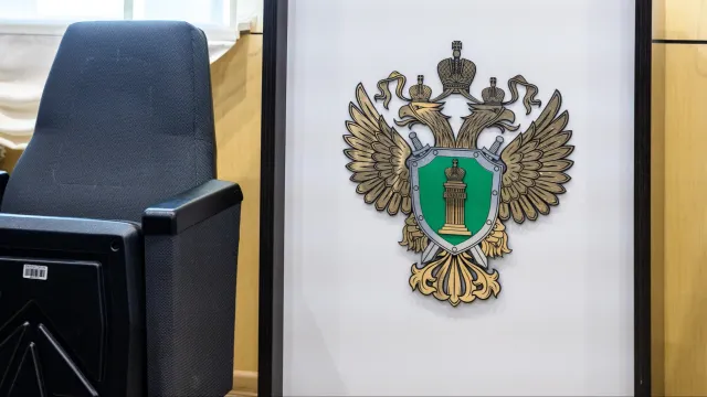 Фото: Фёдор Воронов / «Ямал-Медиа»