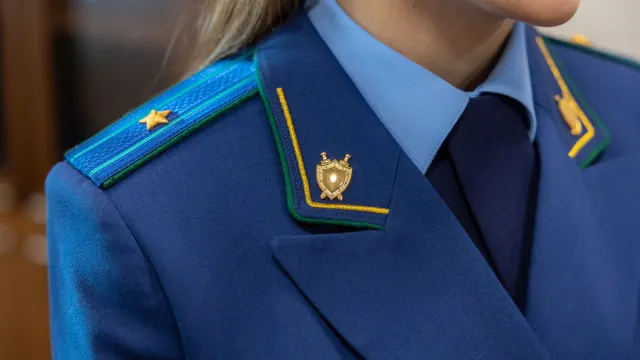 Фото: Фёдор Воронов / «Ямал-Медиа»