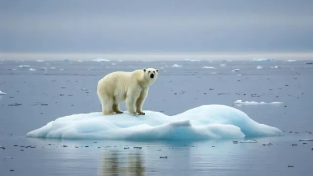 Фото: Andrewfel/Shutterstock/Fotodom