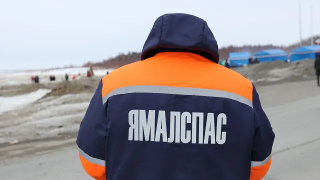Фото: Андрей Ткачёв / «Ямал-Медиа»