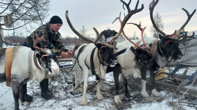 Пуӆэӊ ёх тащӆаӆ воштаты кирсащӆат. Хор: Виталий Озелов