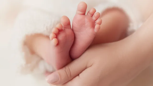 Фото: Inara Prusakova / Shutterstock / Fotodom