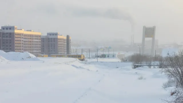 Фото: Фёдор Воронов / «Ямал-Медиа»