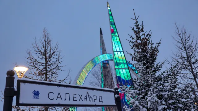 Фото: Андрей Ткачёв / «Ямал-Медиа»