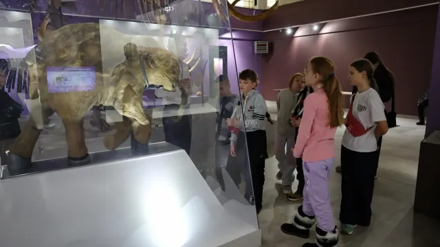 Фото: Андрей Ткачёв / «Ямал-Медиа»