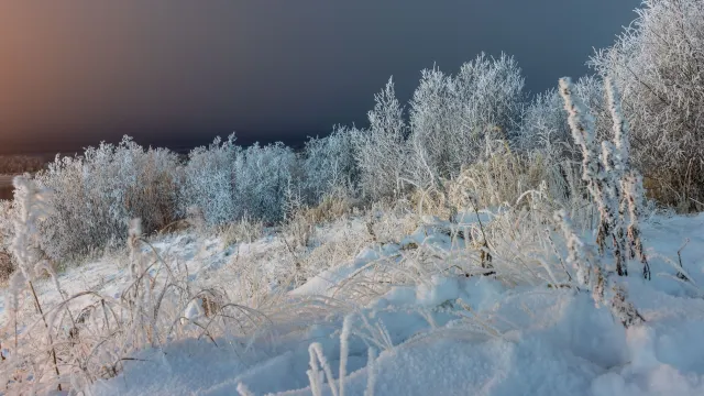 Фото: Фёдор Воронов / "Ямал-Медиа"