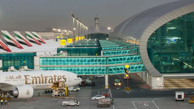 Фото: Daniela Collins / Shutterstock / Fotodom