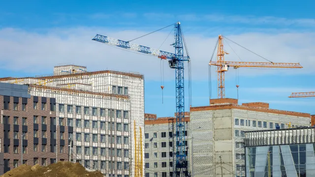 Фото: Фёдор Воронов / «Ямал-Медиа»