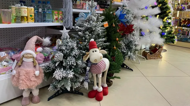 Фото: Анастасия Ульянова / "Ямал-Медиа"