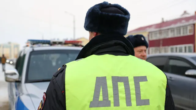 Фото: Андрей Ткачёв/«Ямал-Медиа»