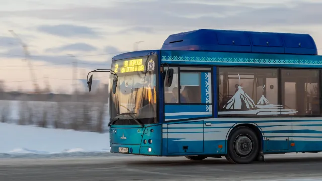 Фото: Фёдор Воронов / Ямал-Медиа