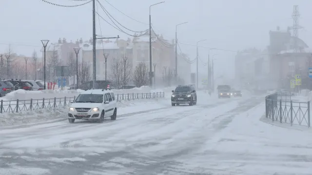 Фото: Андрей Ткачёв / «Ямал-Медиа»