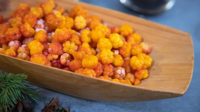 Фото: Фёдор Воронов / «Ямал-Медиа»