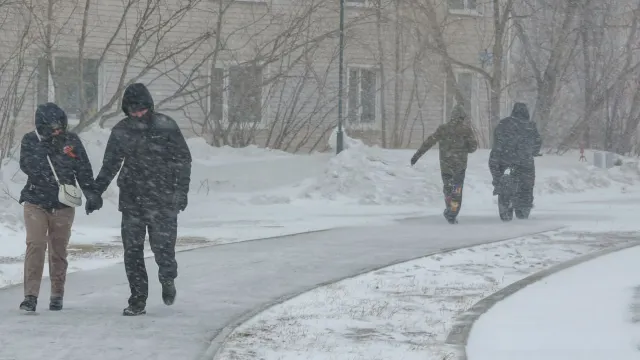 Фото: Андрей Ткачев/«Ямал-Медиа»