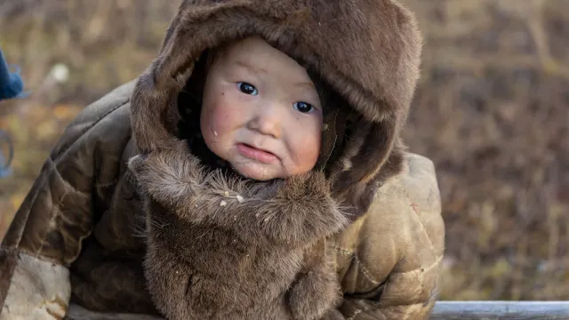 Фото: Фёдор Воронов / «Ямал-Медиа»