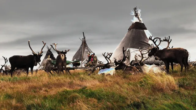 Фото: Alexander Gafarro / shutterstock.com / Fotodom