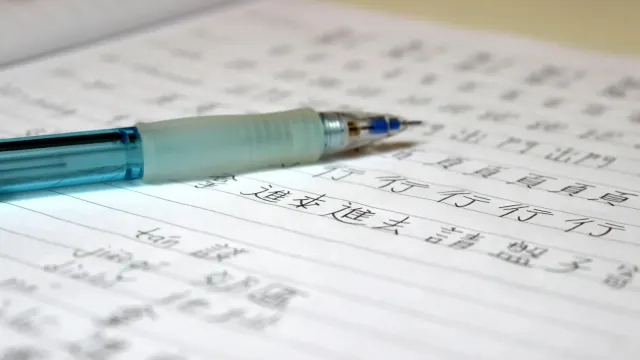 Фото: danielcastromaia/Shutterstock/Fotodom