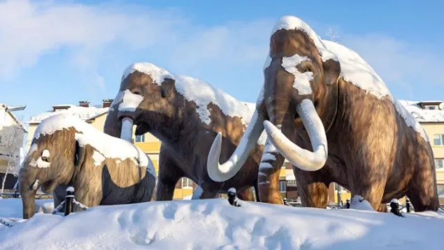 Скульптура мамонтов в снегу в сквере «Орбита» в Лабытнанги. Фото: Фёдор Воронов / «Ямал-Медиа»
