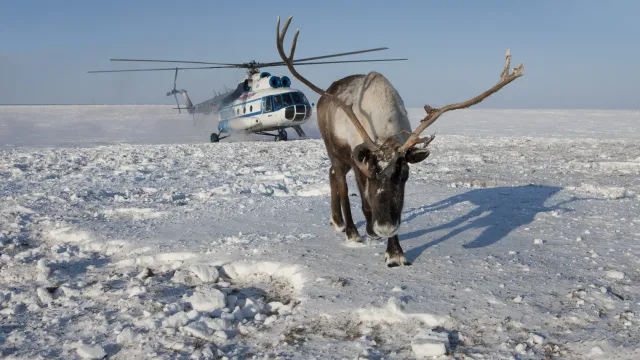 Фото: nenets/Shutterstock/Fotodom