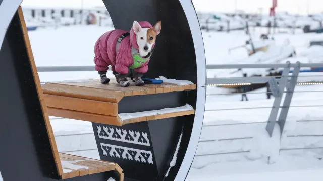 Фото: Андрей Ткачёв / «Ямал-Медиа»