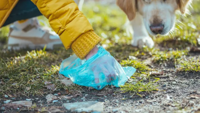 Dragana Gordic / Shutterstock / Fotodom