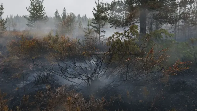 Фото: Алина Дьякова / «Ямал-Медиа»