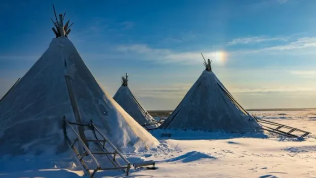 Фото: Фёдор Воронов / «Ямал-Медиа»