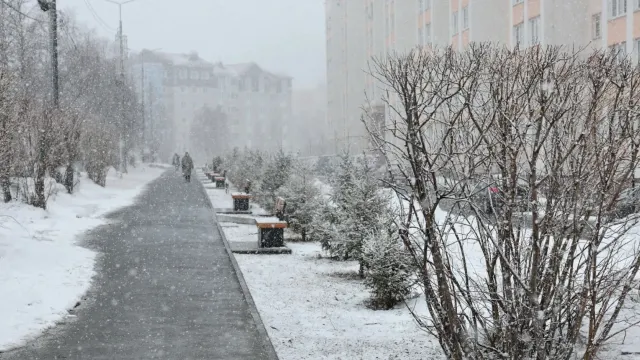 Фото: Андрей Ткачёв / «Ямал-Медиа»