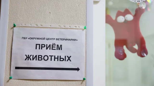 Фото: Андрей Ткачёв / «Ямал-Медиа»