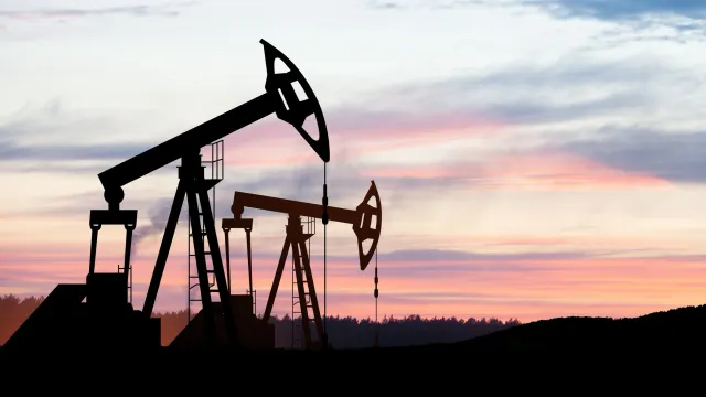 Фото: Hamara/Shutterstock/Fotodom