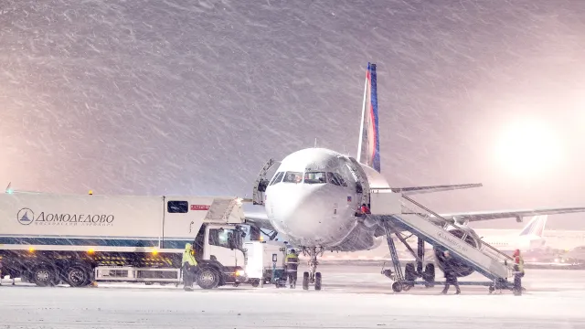 Фото: Vereshchagin Dmitry / Shutterstock / Fotodom