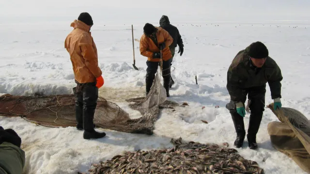 В зимний лов рыбакам вместо лодок нужны вездеходы и снегоходы. Фото: предоставлено пресс-службой департамента АПК ЯНАО