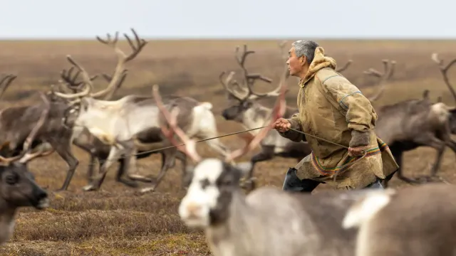 Фото: Фёдор Воронов / «Ямал-Медиа»