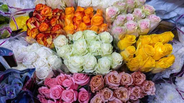 Фото: Юрий Матяш/«Ямал-Медиа»