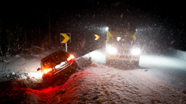 Фото: Zurijeta/Shutterstock/Fotodom