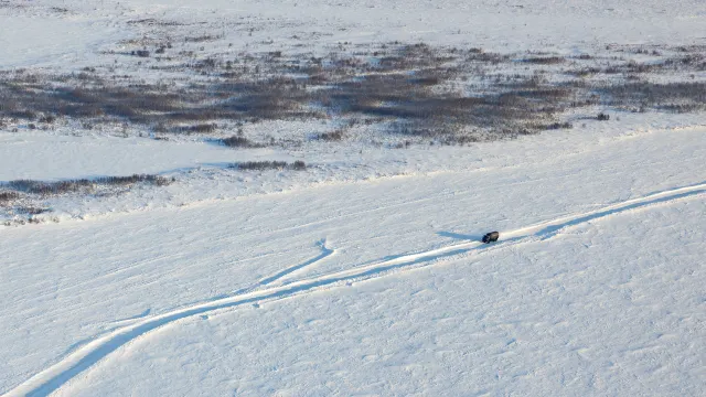 Фото: Фёдор Воронов / "Ямал-Медиа"
