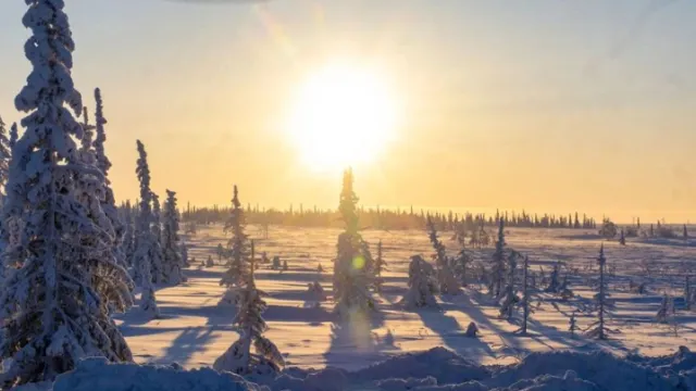 Зимняя тундра. Фото: Никита Погодин / «Ямал-Медиа»