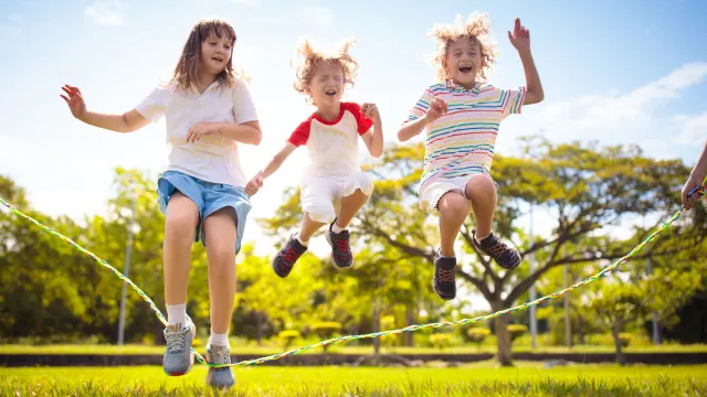 Фото: FamVeld/Shutterstock/Fotodom