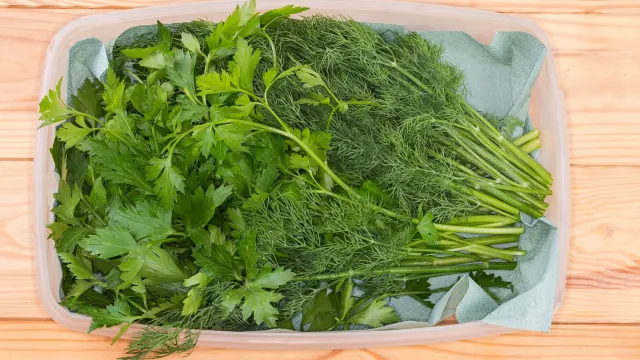 Фото: anmbph/Shutterstock/Fotodom