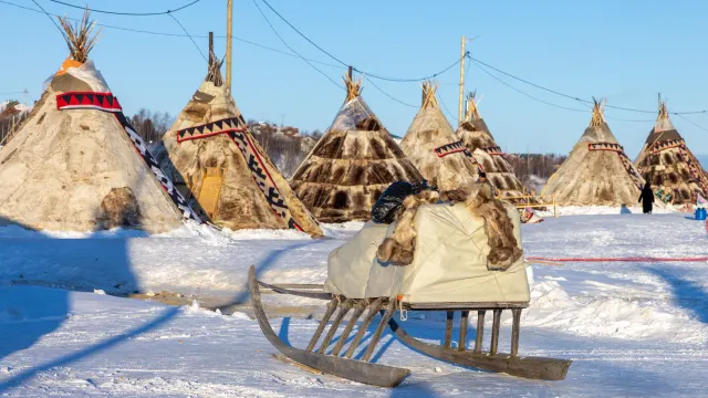 Фото: Федор Воронов / «Ямал-Медиа»